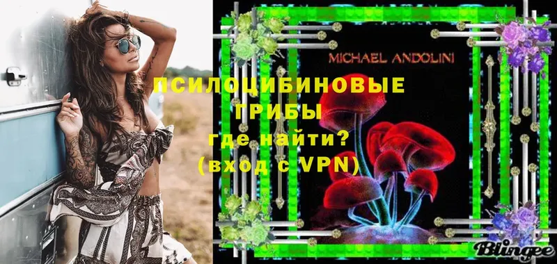 Галлюциногенные грибы Psilocybe  Курган 